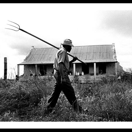 Juhan Kuus – Oudtshoorn Farm Life, 2003