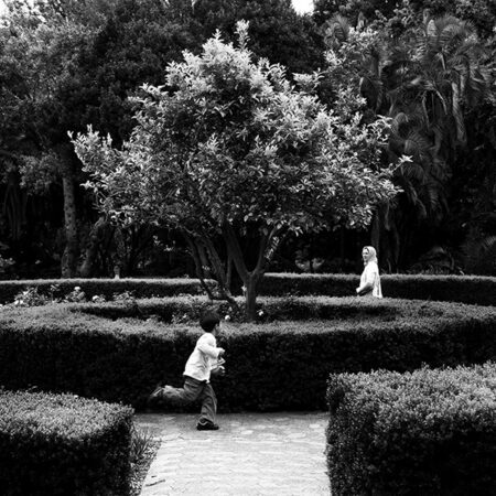 Juhan Kuus – The Rose Garden, Company’s Garden, 2014