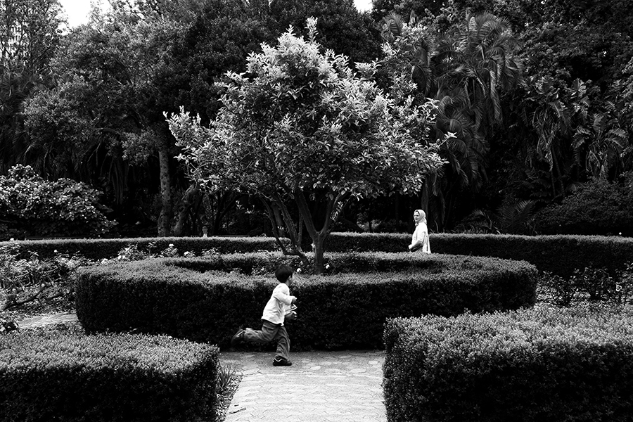 Juhan Kuus – The Rose Garden, Company’s Garden, 2014