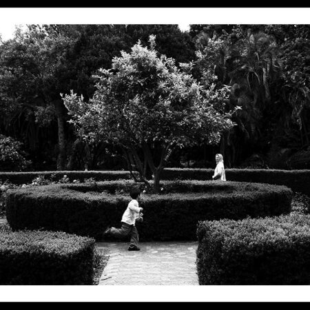 Juhan Kuus – The Rose Garden, Company’s Garden, 2014