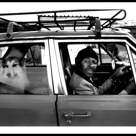 Juhan Kuus – The Animal Rescue Organization, Du Noon, 2003