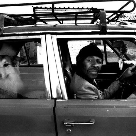 Juhan Kuus – The Animal Rescue Organization, Du Noon, 2003