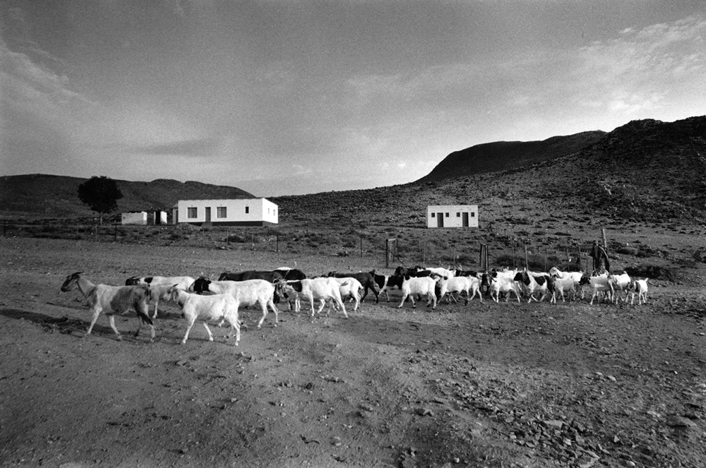 Northern Cape landscape photographed by Jodi Bieber
