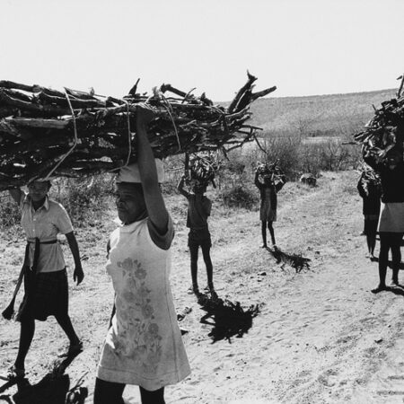 Paul Alberts | A Family Collecting Wood, Dinokana, North West Province, 1980.