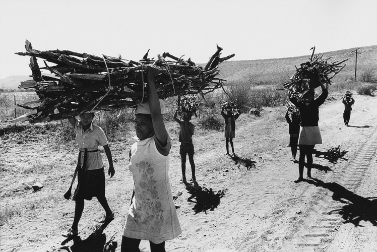 A family carrying large bundles of collected firewood along a rural road in Dinokana in 1980, photographed by Paul Alberts